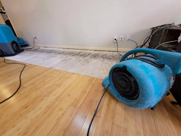 Reliable Basement Flood Cleanup contractor in Nicholson, MS by Hirex Water Damage