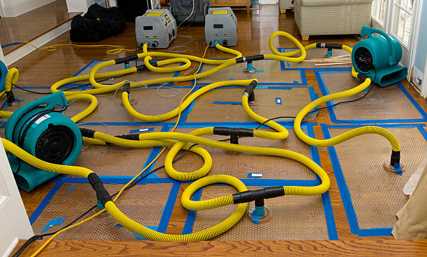 Professional Basement Flood Cleanup technician working in Nicholson, MS